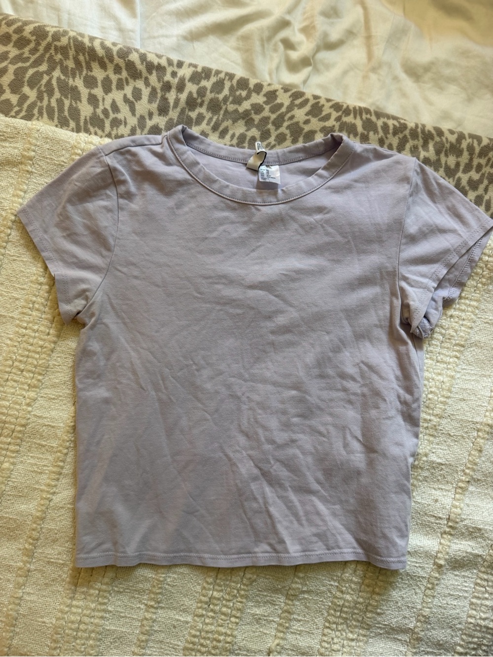 H&M Lavender Crewneck Crop Top